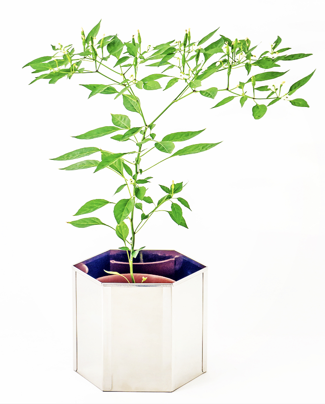 Too wet outside to enjoy gardening? Why not give your indoor houseplants some TLC instead. If you have a compact or urban home then our mirror finish helps to create the illusion of a larger space. Start enhancing your home today ow.ly/N8Xp50Aadpb