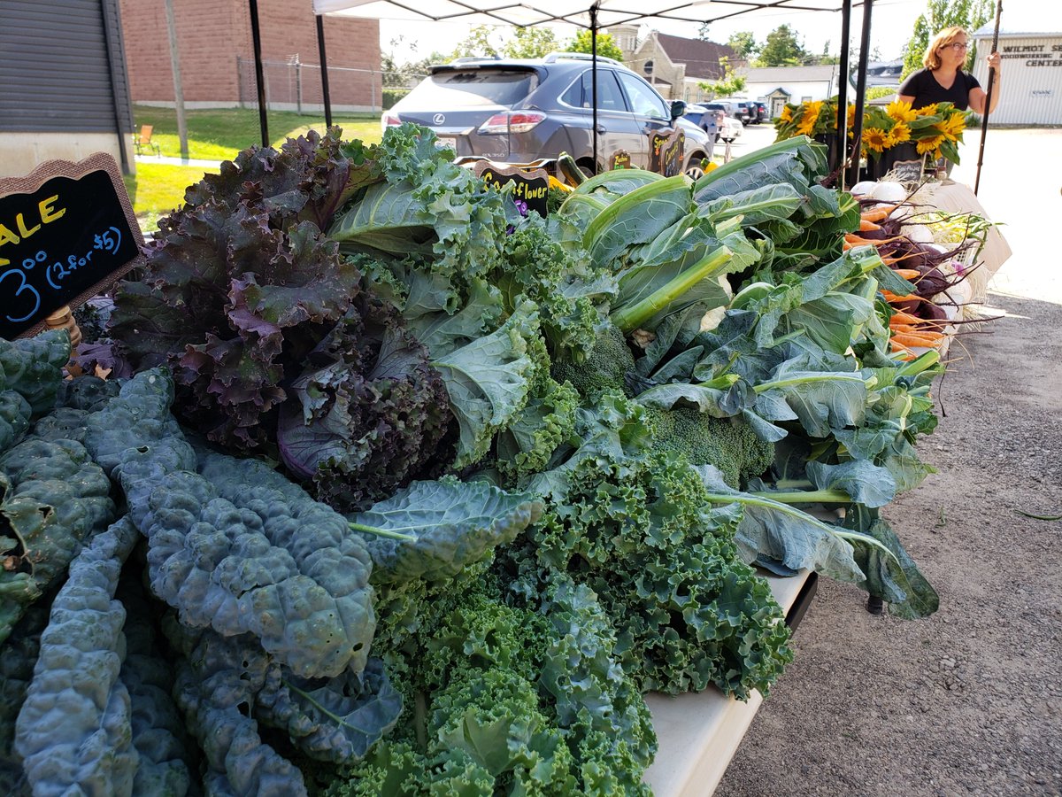 WilmotTownship's tweet photo. You know what cool thing happens on Wednesdays in #Wilmot, riiiiight? The @WilmotMarket! 5pm until 8pm in Baden (corner of Charles & Foundry Sts.). Plenty of parking!
#WednesdayMotivation #TodayIsWednesday! https://t.co/AlKGjHH9Fu