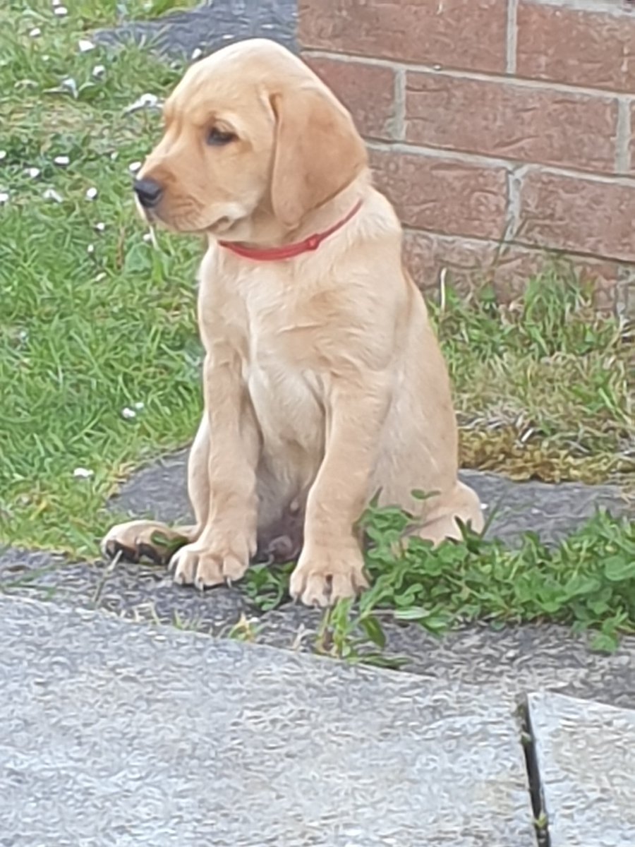 Wellbeing challenge day 89.... have you done something active today? Take your dog a walk, go for a cycle or walk round your local area and see how many rainbows you can spot. Stay health, physically and mentally.  @MentalKHS