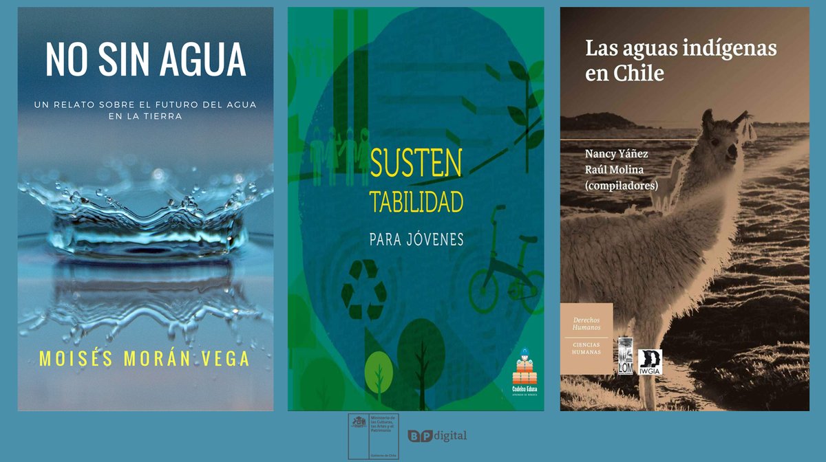 Biblioteca Pública Digital tweet media