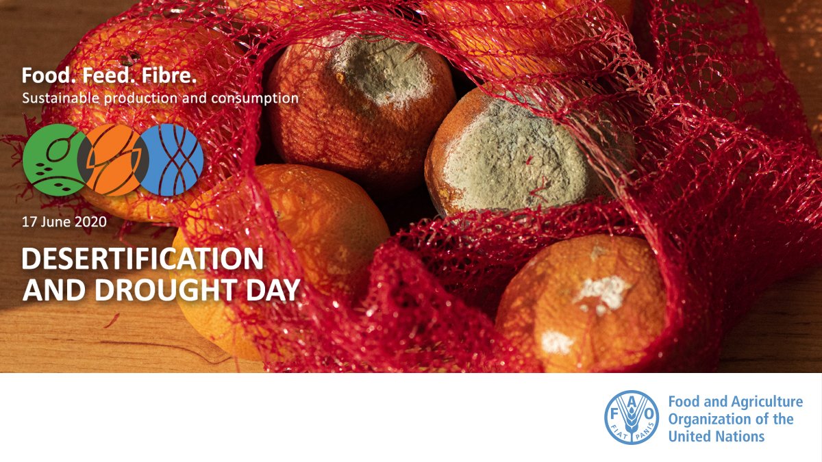 FAONorthAmerica's tweet photo. Not wasting food safeguards land, water and other valuable resources, ensuring #FoodFeedFibre for current and future generations.

#DesertificationAndDroughtDay #2020WDCD https://t.co/LiHCAkbcDN