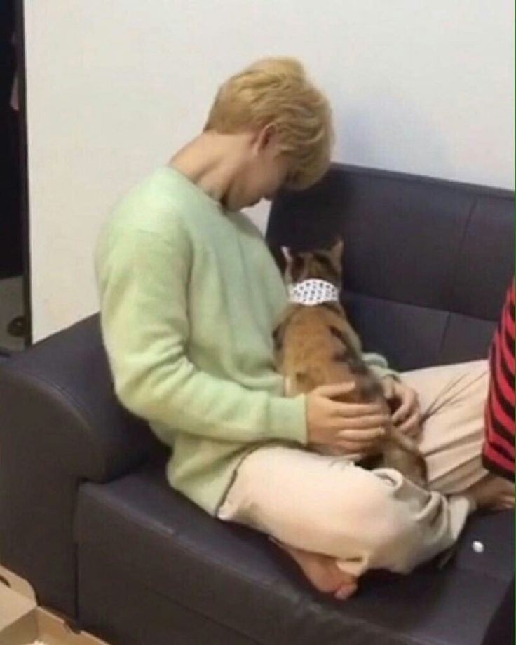 Jimin's endless love towards cats -A thread