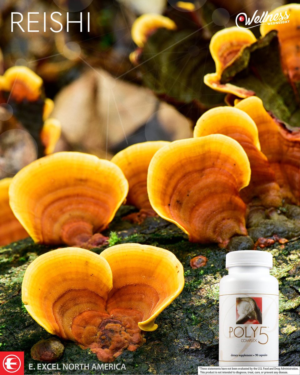 20danyun's tweet photo. Poly5 helps to support healthy immune responses and vitality, featuring a synergistic blend of 5 different mushrooms; Reishi, Agaricus Blazei, Maitake, Coriolus Versicolor, and Shiitake.*

#EexcelNA #EexcelCares #ShareEexcel #mushrooms https://t.co/XpGC5Ipc2U