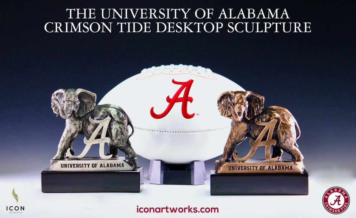 Matt Palmer tweet media