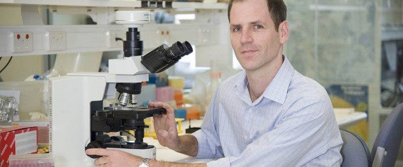 Australasian Leukaemia & Lymphoma Group (ALLG) tweet media