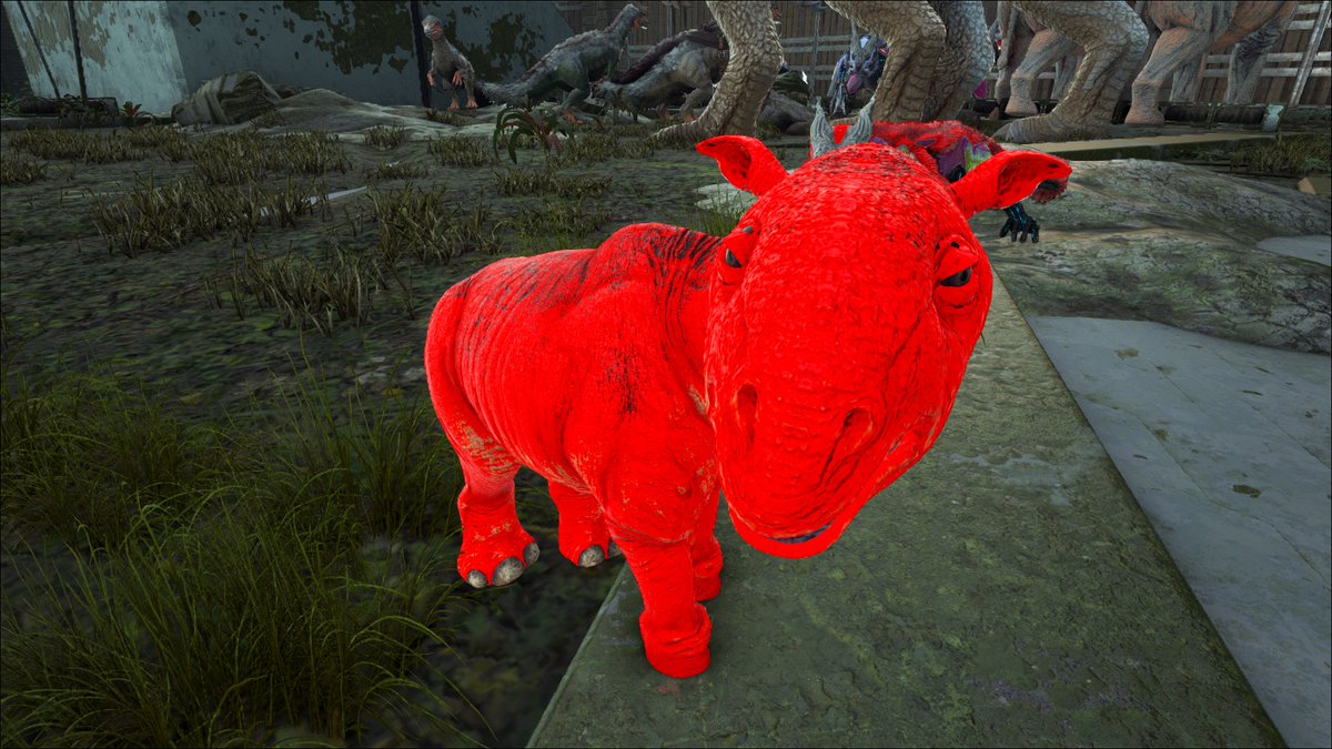 OracleSummoned's tweet image. This Red little Dino was born today. having fun with some mutaters on Naked Zombos Server! Lets hope i can test this guy out when he is fully grown!
@GamingRTweeters @SmallStreamersC @SGH_RTs
#gaming #smallstreamer #ArkSurvivalEvolved