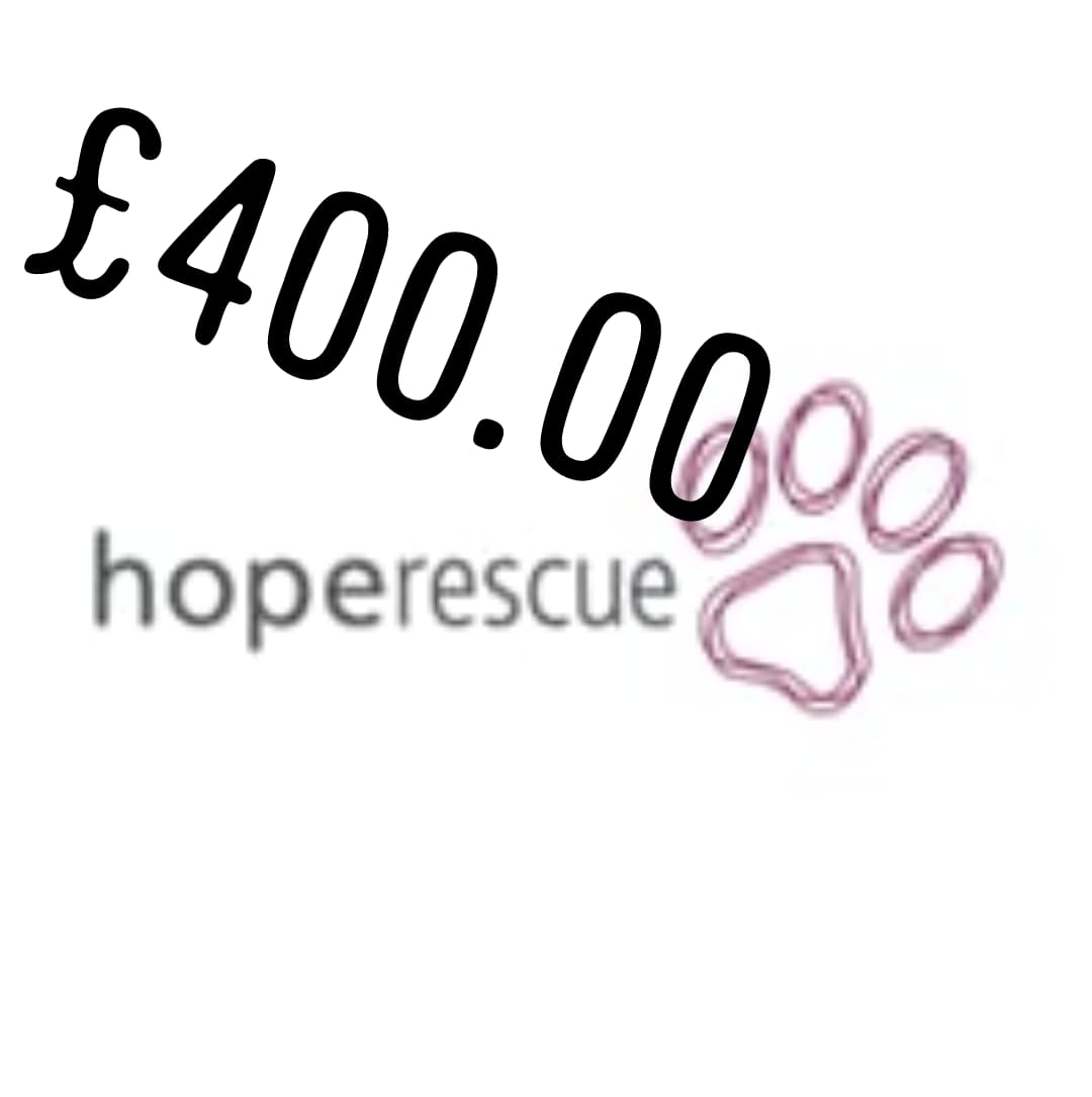 A massive THANK YOU to everyone who donated to our charity fundraiser, we all raised a massive Charity pot of £1,310 the final donations were as follows. 1st £500 split @tyhafan @noahsarkcharity 2nd £400 @HopeRescue 3rd £300 @NHS £50 to NHS from @westywales #upthemagpies