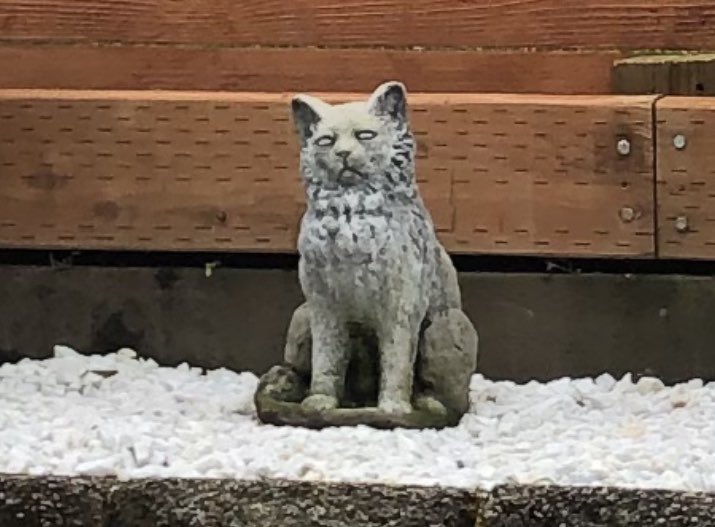 when i zoomed in, i realized that it wasn’t just a lawn ornament.THAT IS, IN FACT, THE CREMATED REMAINS OF MY GRANDPARENT’S OLD CAT. WHEN IT DIED, MY AUNT TURNED IT INTO A STATUE. AND NOW MY NIECE IS IN LOVE WITH IT. MY MOM AND SISTER HAD NO IDEA.