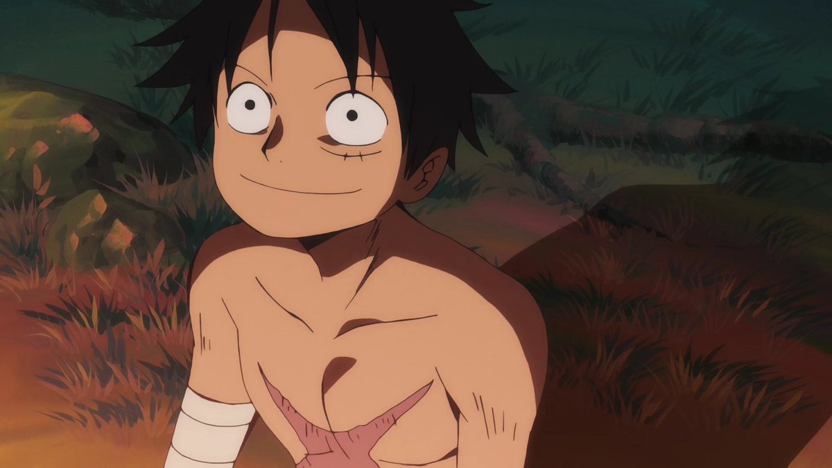 Luffy thinking and talking about his crew 