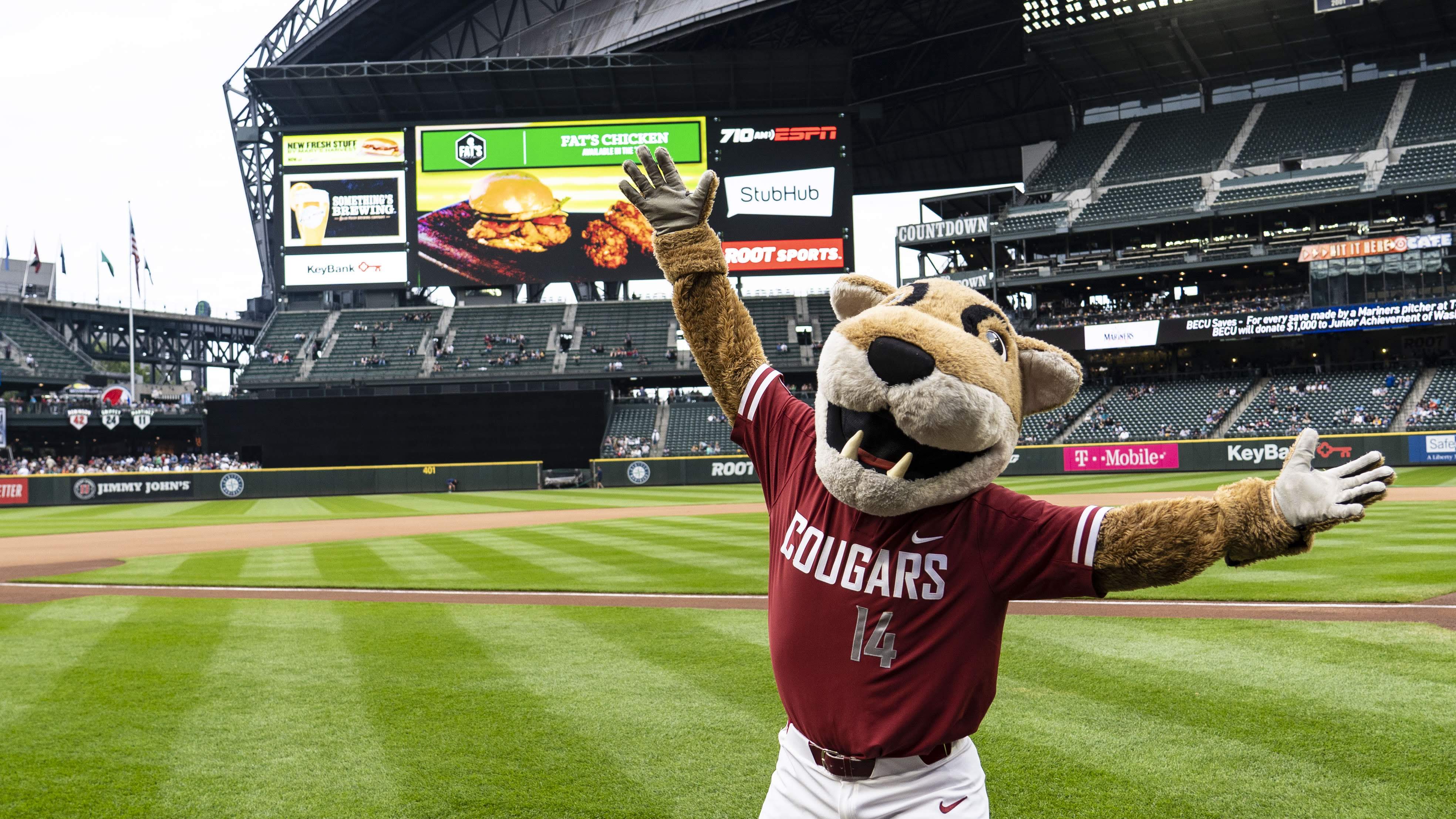 Washington State Cougars on X: Your mascot could never Happy  #NationalMascotDay to the best! We love you @ButchTCougar ❤️   / X