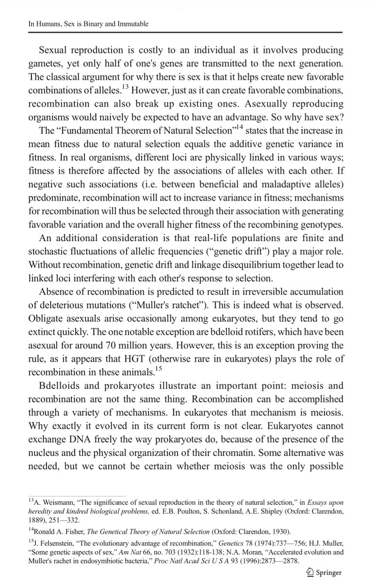 Ok, some of us can see it others can’t so here are the screenshots