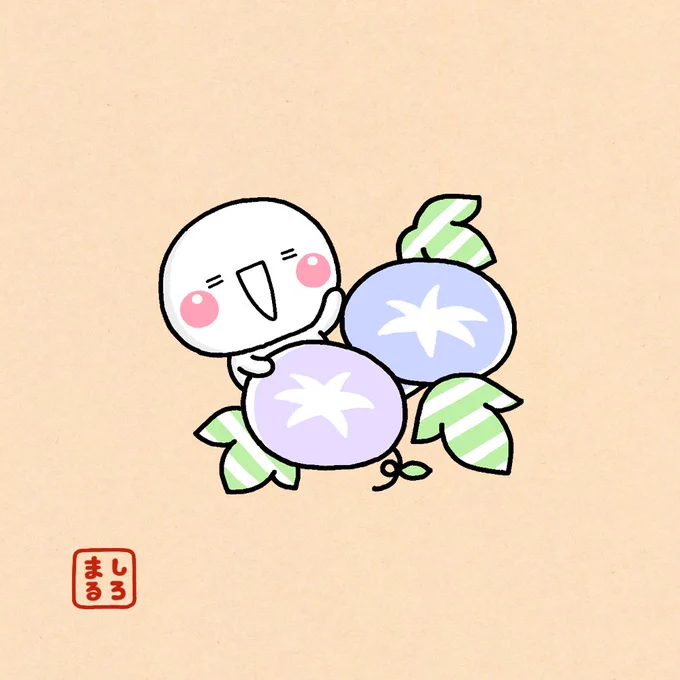 あさがお☀️
#しろまる 
