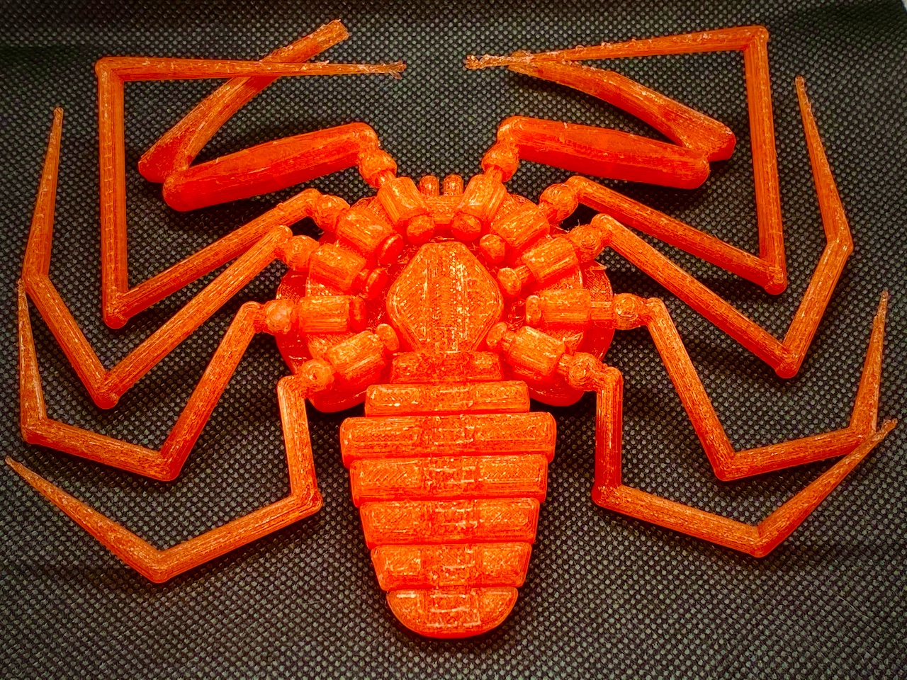 Tdl 世界一気持ち悪い虫 ウデムシをモチーフにしました Amblypygi 完璧な生命体 害蟲展 T Co 1wbyi3lmro Twitter