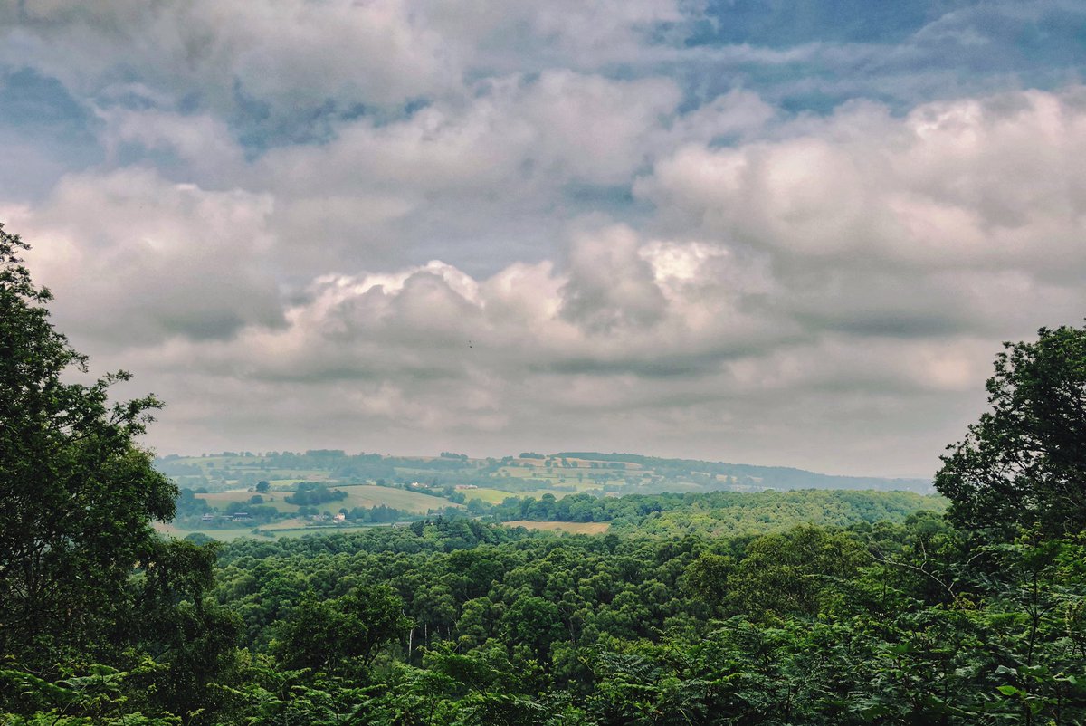 Abis_snaps's tweet photo. My last one from our wonderful visit to @NTKinver Its not difficult to just stop and pause when you’ve got views like this. I feel very lucky to have on my doorstep 😍 #Mindfulness #ThePhotoHour #stormhour @ThePhotoHour @StormHour @LensAreLive #lenslive #natureishealing https://t.co/XAZ5G7nvdr