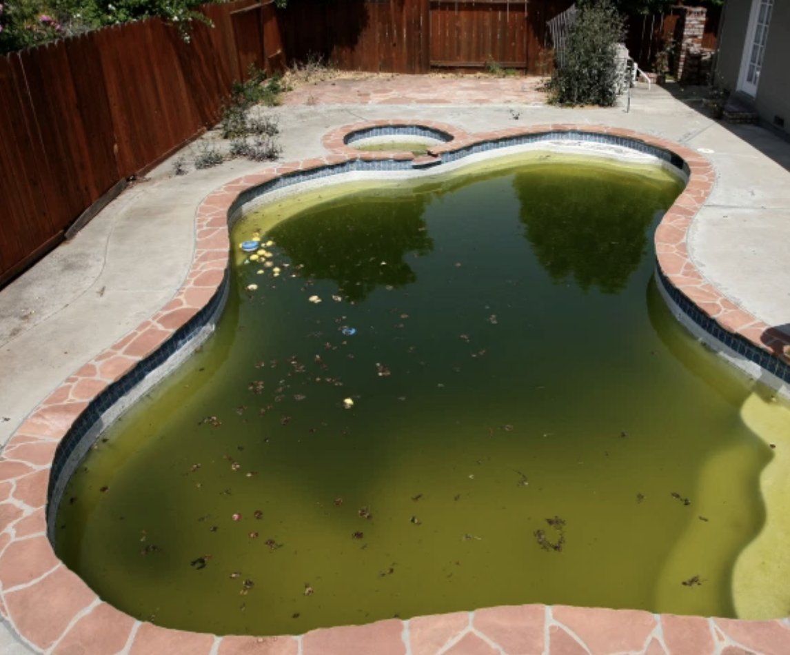 One example of the sometimes circuitous links between human society, ecosystem disruption, and public health really stuck with me. An outbreak of West Nile in CA was partly due to...the housing crisis! Abandoned swimming pools became ideal breeding grounds for mosquitoes.