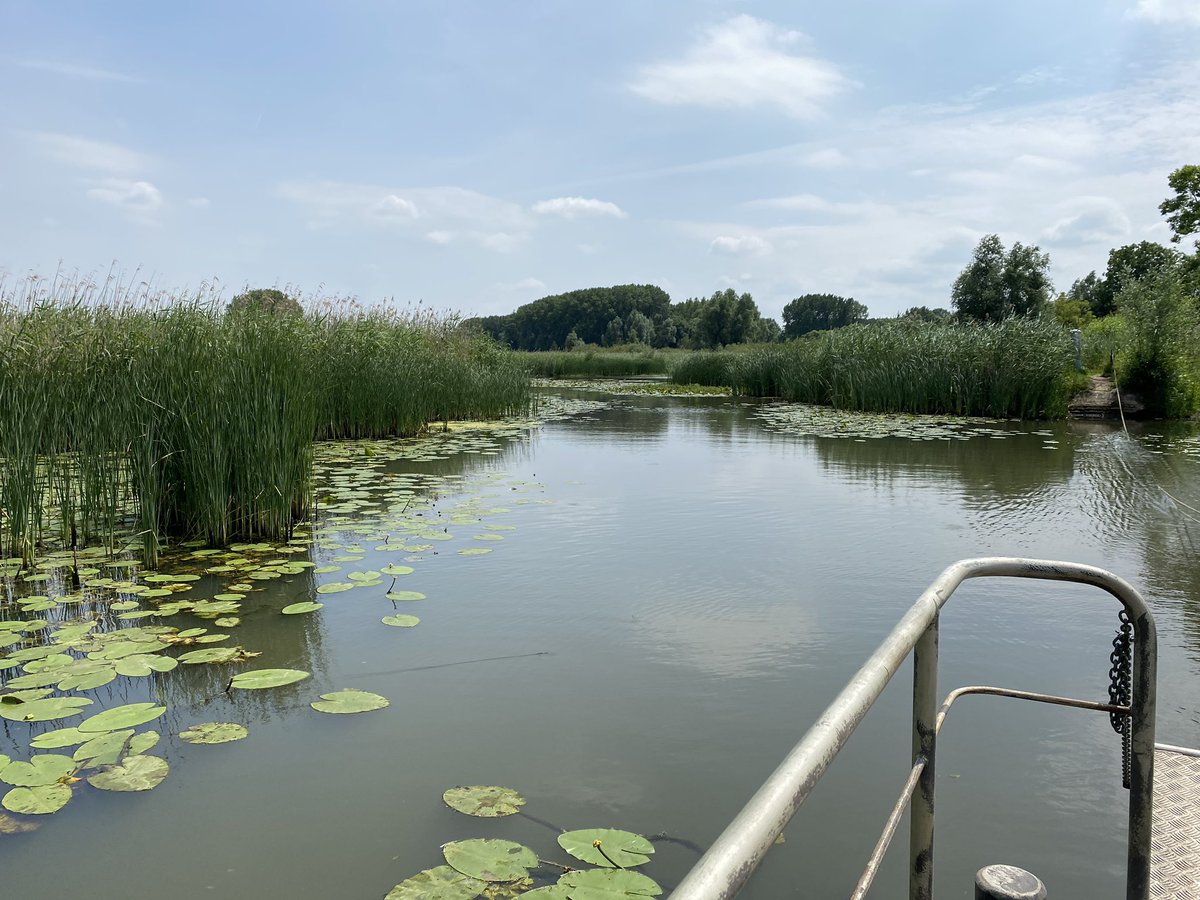 IngeReijmer's tweet photo. Wat een prachtige fijne wandeldag #rijnstrangen #klompenpad met goed gezelschap 🙃 https://t.co/51imUBbtiJ