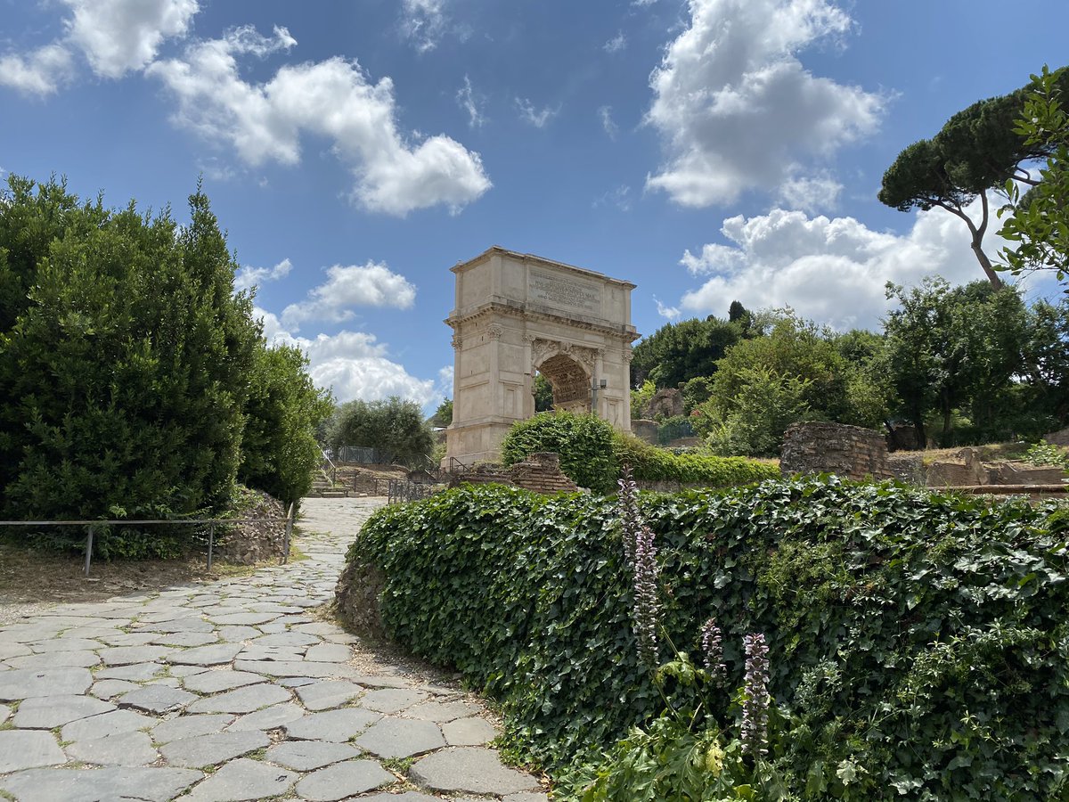 Surrounded by wonder, history and nature in the Roman Forum. #Rome