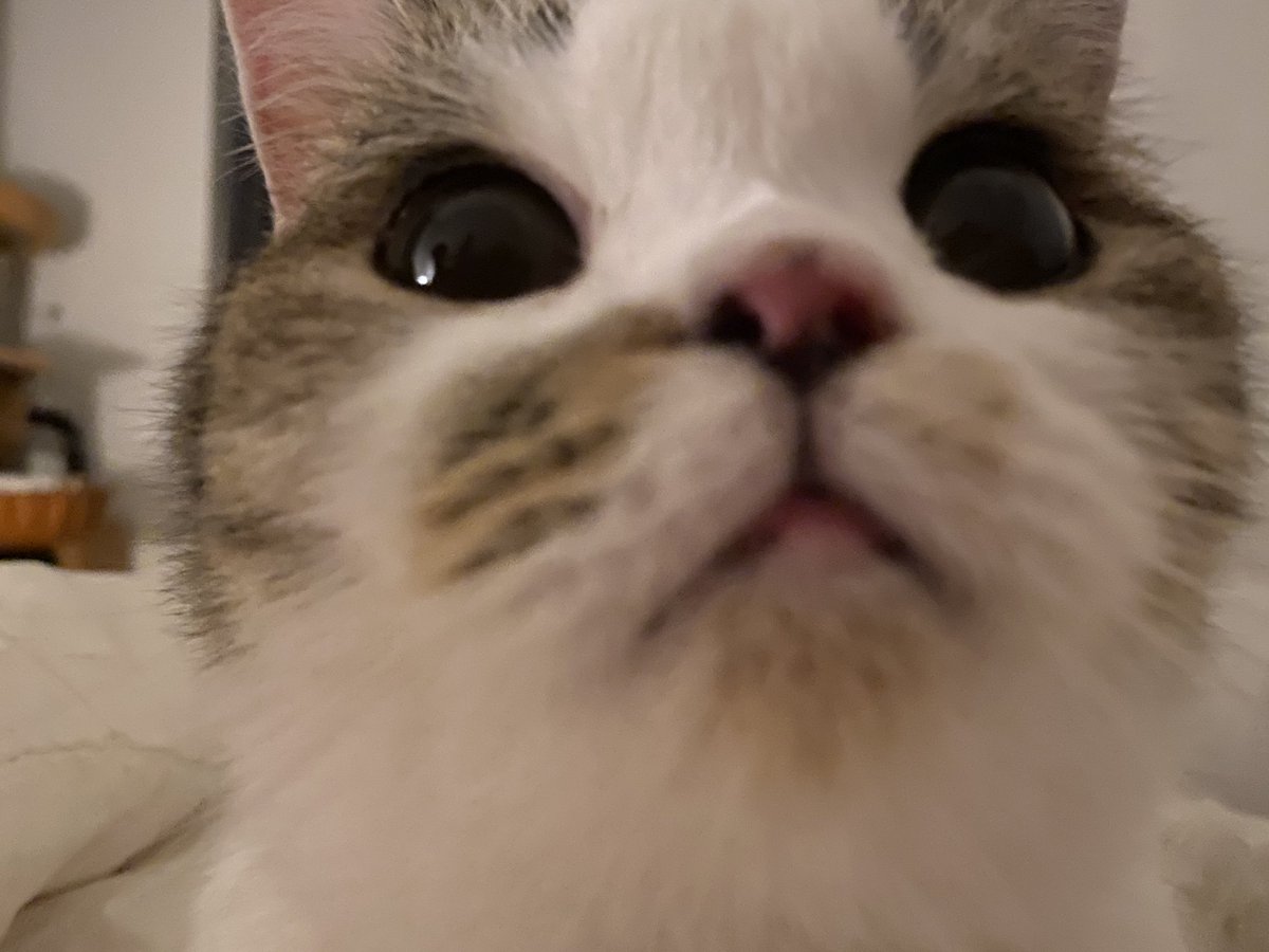 ซูมรูตะหมูก