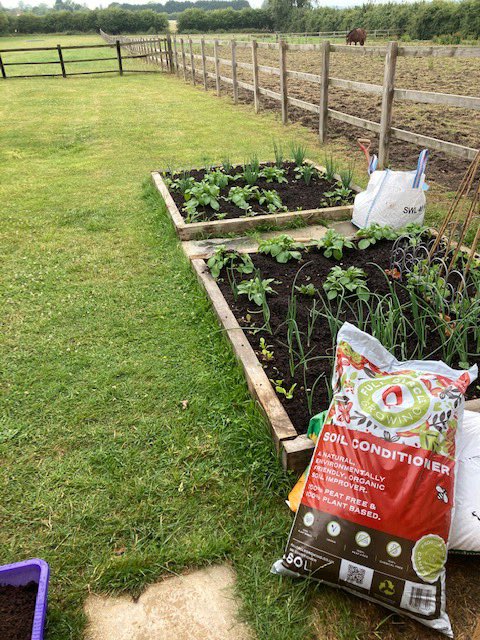 FullGrowing's tweet photo. Feedback from happy customer. Thank you Matthew. 
Hi Jo, 
soil conditioner is working as it was new topsoil, with no enrichment &amp; no plant food has gone in either. Also it really does retain moisture, as proven in the recent dry spell and me Not getting round to watering them! https://t.co/NK46x75UGo