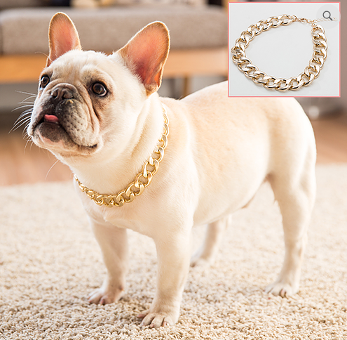 PetzYour's tweet photo. https://t.co/BQNUcQOtWq visit us @yourpamperedpetz.com #dogs #cats #seniorpet #petstore #petsupplies #adoptapet #adoptdontshop #adoptaseniorpet #rescue #rescueaseniorpet #pettraining #petgrooming #adoptapet #nopuppymills #love https://t.co/qp8j5TZ3oH