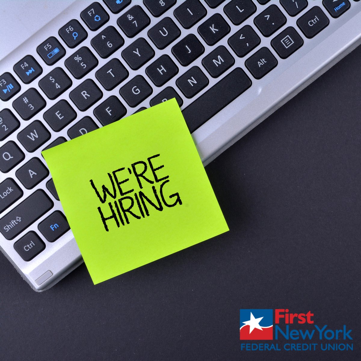 FirstNewYorkFCU's tweet photo. Not only are we GROWING....but we are also HIRING! If you are looking to join a great team please visit: https://t.co/tYn7S9tOmy
Positions Currently Available in Marketing, Lending, IT, Administrative and at our branches!
#hiring #518jobs #capitalregionjobs https://t.co/nUtAxoeb2S