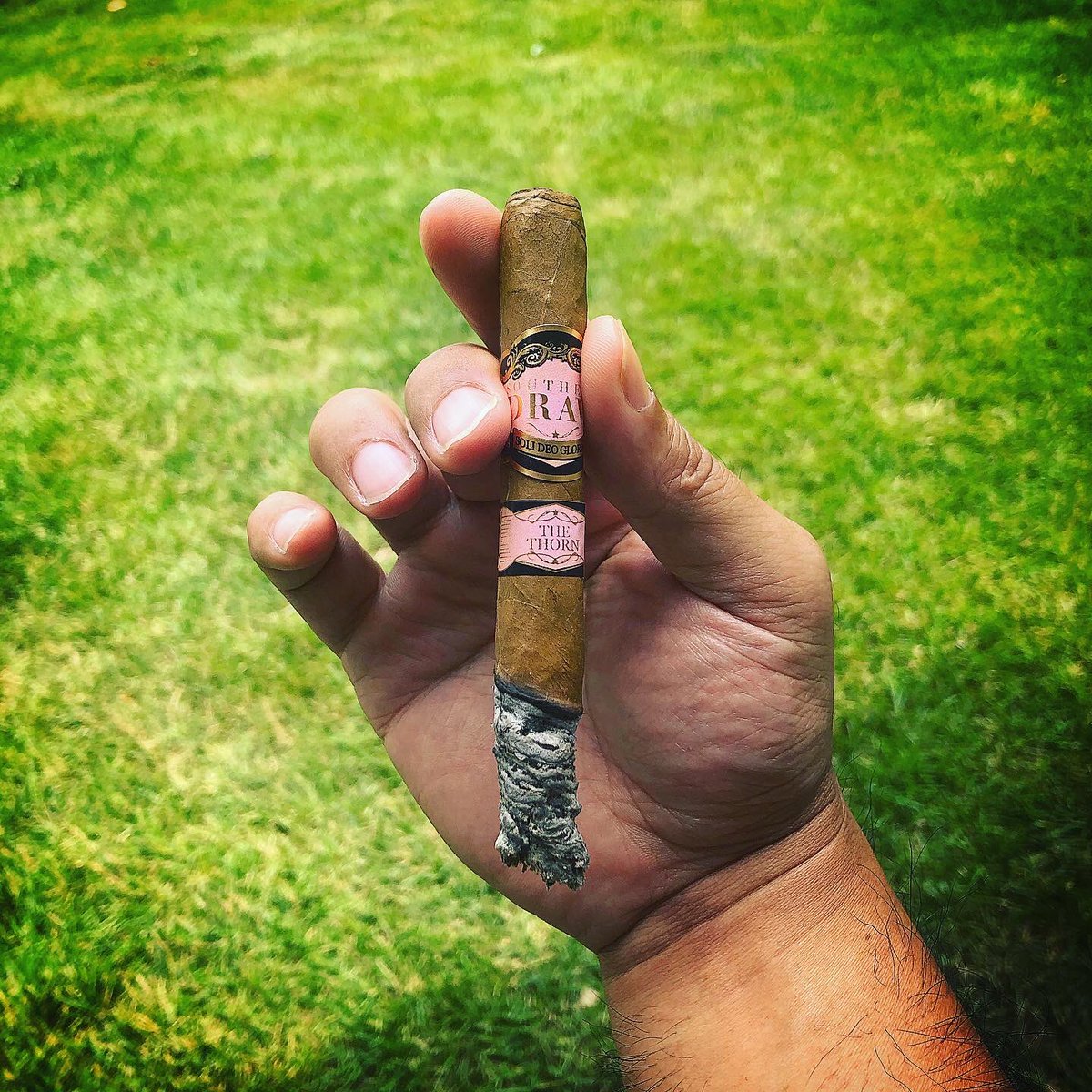 RealJayreeHsu's tweet photo. Rose of Sharon Lancero - SouthernDraw, Nub it! π @CigarChairman @CalvinThomps99 @Mack280 @Mike_W_Simpson @PatrickMroz @RobustoBabe @RBKAHLove @TNHerfin @ButcherNate1 @thebeardclub @MyNeatLife @JeffBOTL #BOTL #sotl #cigar #backyardcigar https://t.co/MCPERF3Vp7