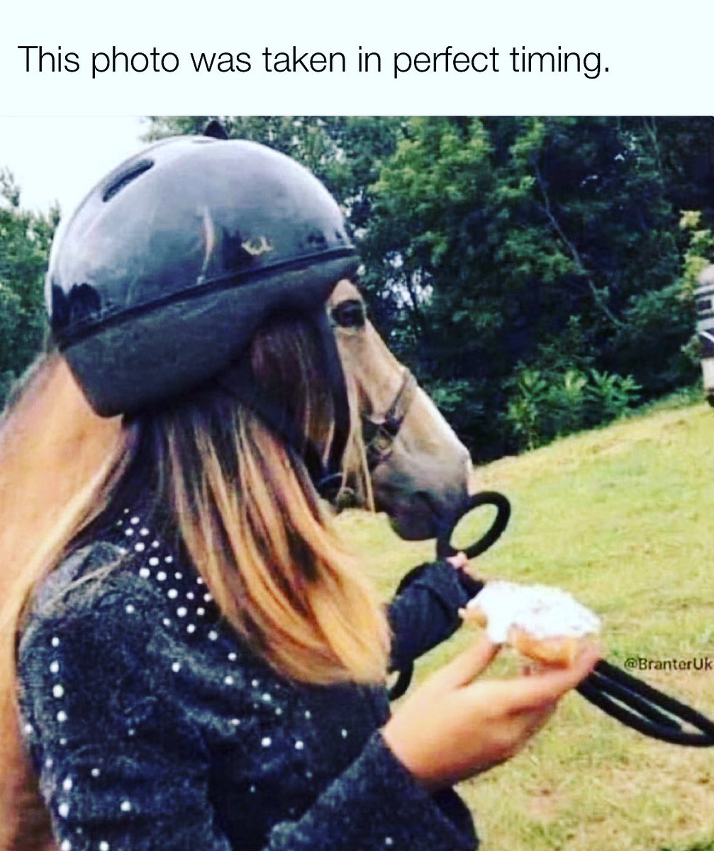 memezlab's tweet photo. 🐴A horse is a horse, unless...🐴*Follow for daily laughs. #memezlab #horse #horsesofinstagram #horses #horselove #horseshoebend #horseriding #horsebackriding #horsepower #horselover #horseshow #horselife #horserider #horseofinstagram #horselovers #horsememe #horsememes #meme https://t.co/T5RpQuoMMU
