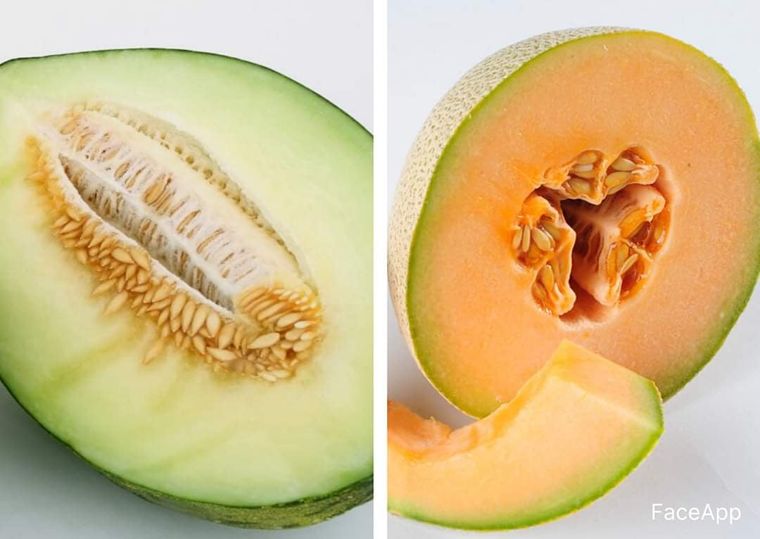 TelmoFe's tweet photo. Face App by Frutaria São Miguel
https://t.co/pEe6nQObZe
#FaceApp #faceappchallenge #melao #meloa #melon #saomiguel #acores #azores https://t.co/eLHcttdxXO