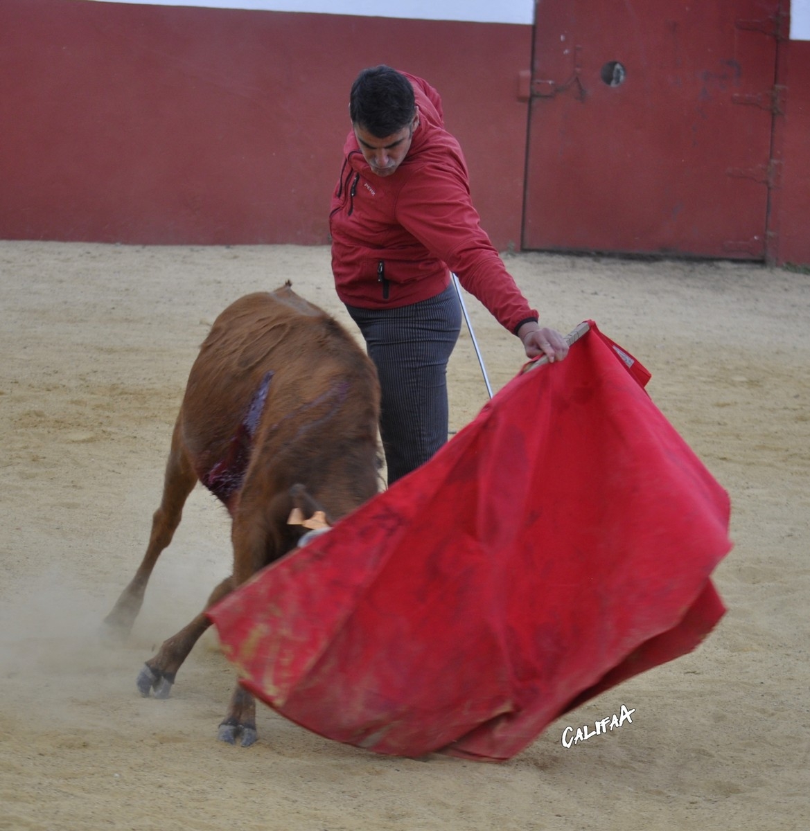 ACTUALIDAD.- Tentadero en Cebada Gago <a href="/HrosCebadaGago/">Hros. de Cebada Gago</a> <a href="/janeiro_victor/">VICTOR JANEIRO BAZAN</a> #Jesulin <a href="/MiguelngelPach6/">Miguel Ángel Pacheco</a> #Tauromaquia (fotos <a href="/CALIFADEARAGUA/">califadearagua</a>) burladero.tv/actualidad/202…