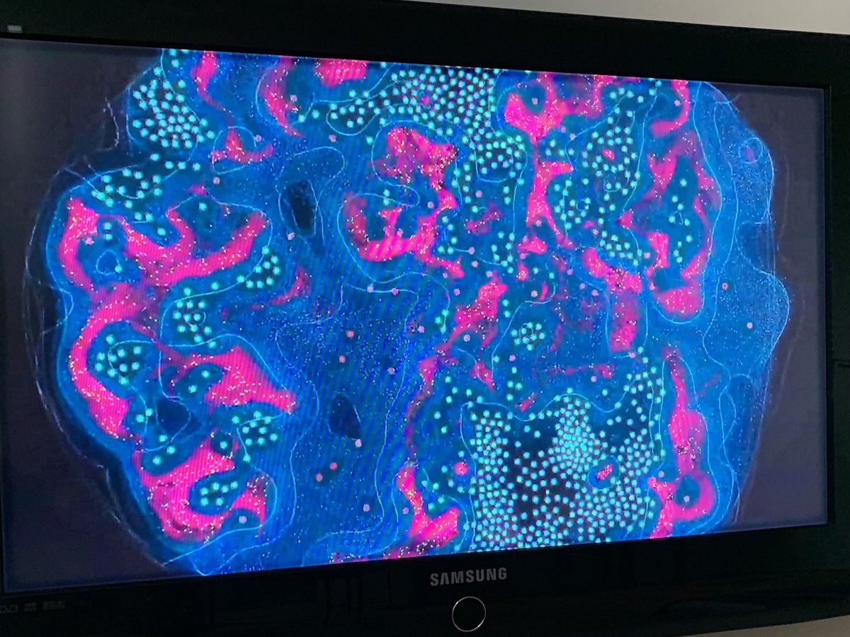 Thanks to everyone for a quite exceptional <a href="/RCMLondon/">Royal College of Music</a> screen composition showcase. A huge achievement to bring this together and so moving to hear new work after so many weeks and in great sound and vision from the <a href="/rcmstudios/">RCM Studios</a>  👏 👏 👏👏👏