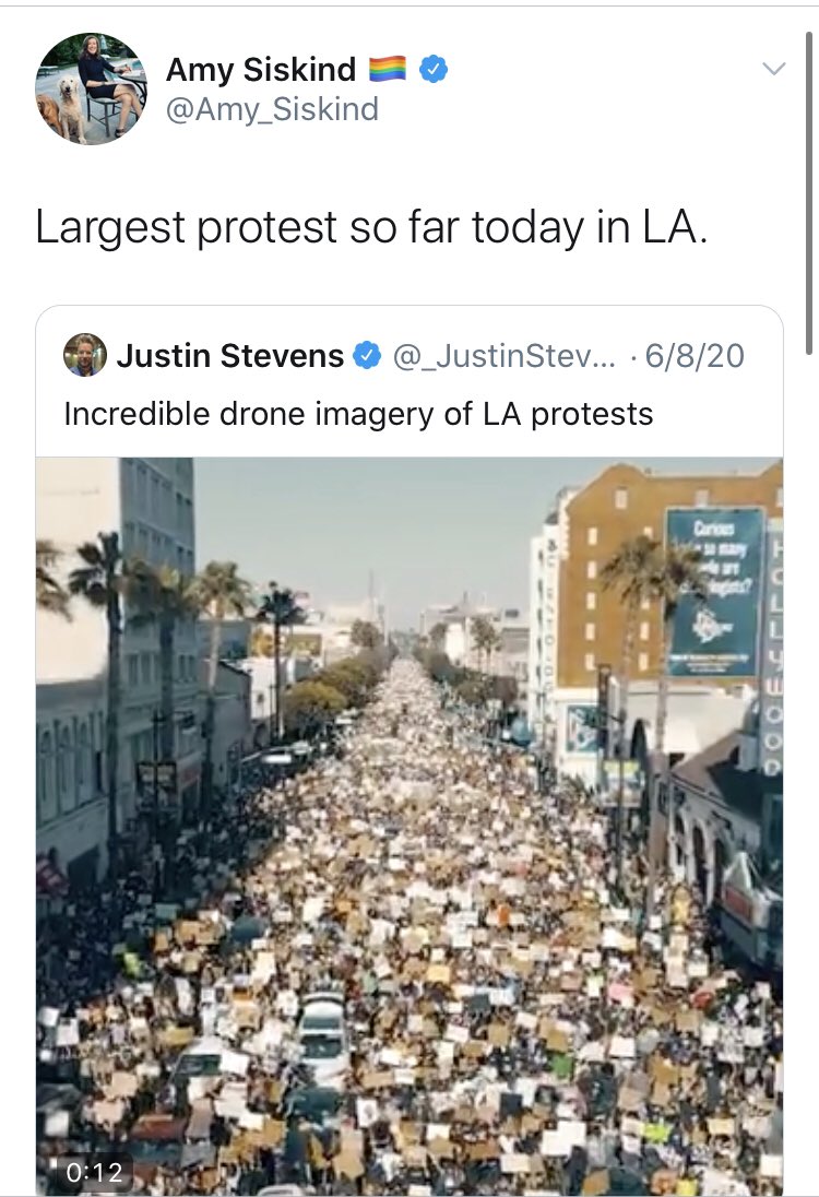 Here’s  @Amy_Siskind, taking part in a protest that surely isn’t social distancing safe, and gawking at another that obviously isn’t.