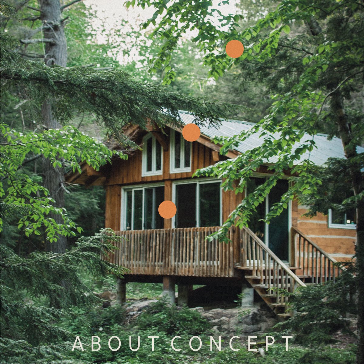 MalakAlkhaldi tweet media