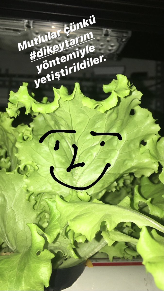 Kapalı ortamda, el değmeden yetiştirilen #YenidenTarım ürünleri sağlıklı oldukları için mutlu son derece gözüküyorlar🥬😊 #DikeyTarım #TopraksızTarım #VerticalFarming #Agriculture