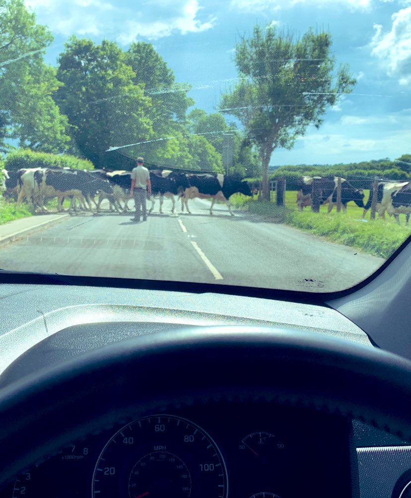 Phil Cocks tweet media