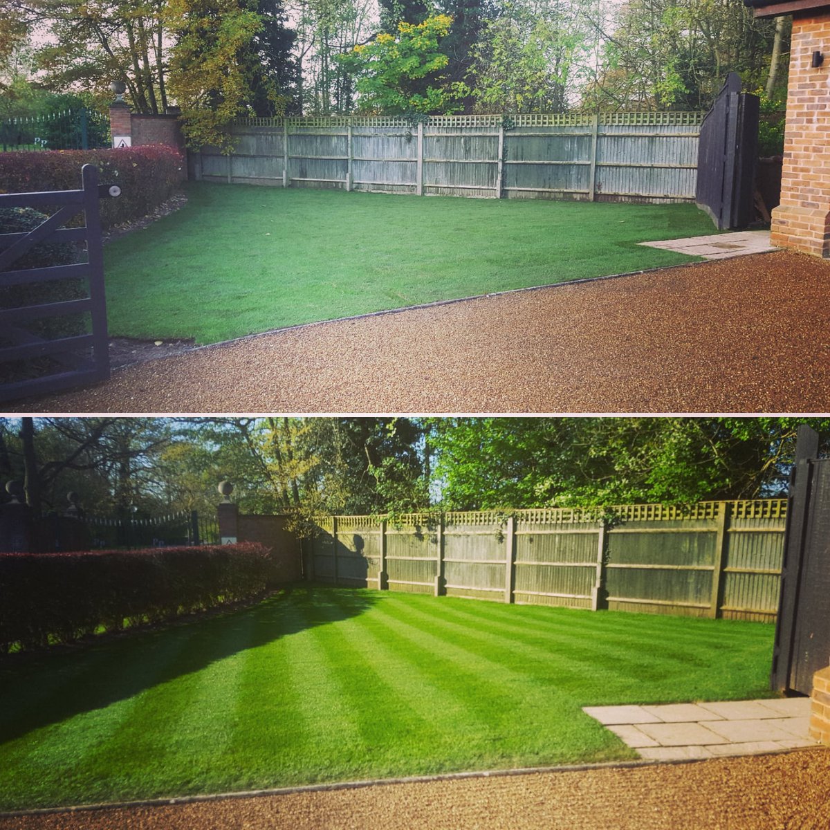 6 months on new turf looking spot on supplied by @GeorgesTurf installed by #BarrettLandscapes #newlawn #lawncare