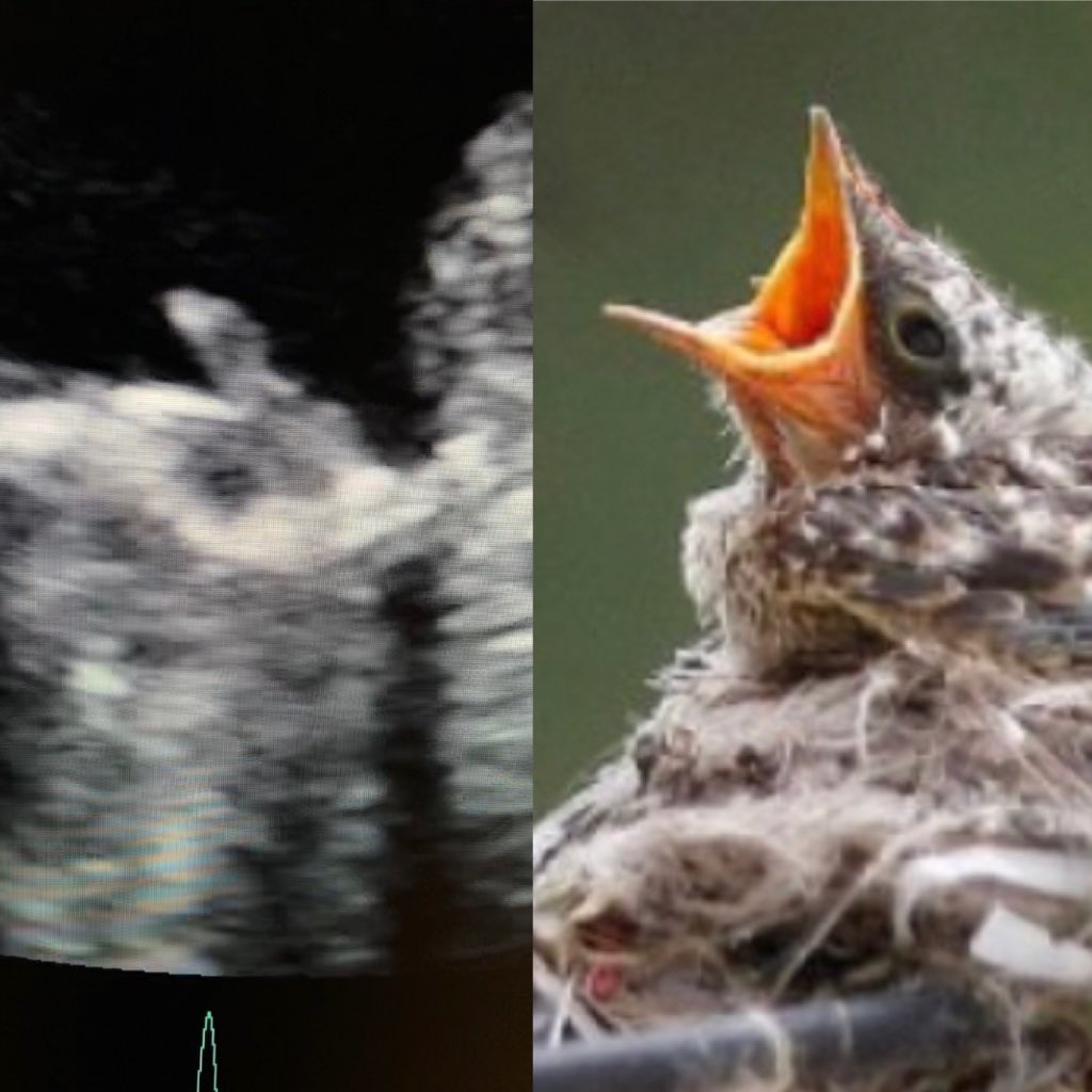 aldoprado's tweet photo. One is from a sweet movie... the other, from a scary movie.... any suggestions? @ComunidadFAC @ASE360 @residentesfac @CASEfromASE https://t.co/RkjpNoZhc5