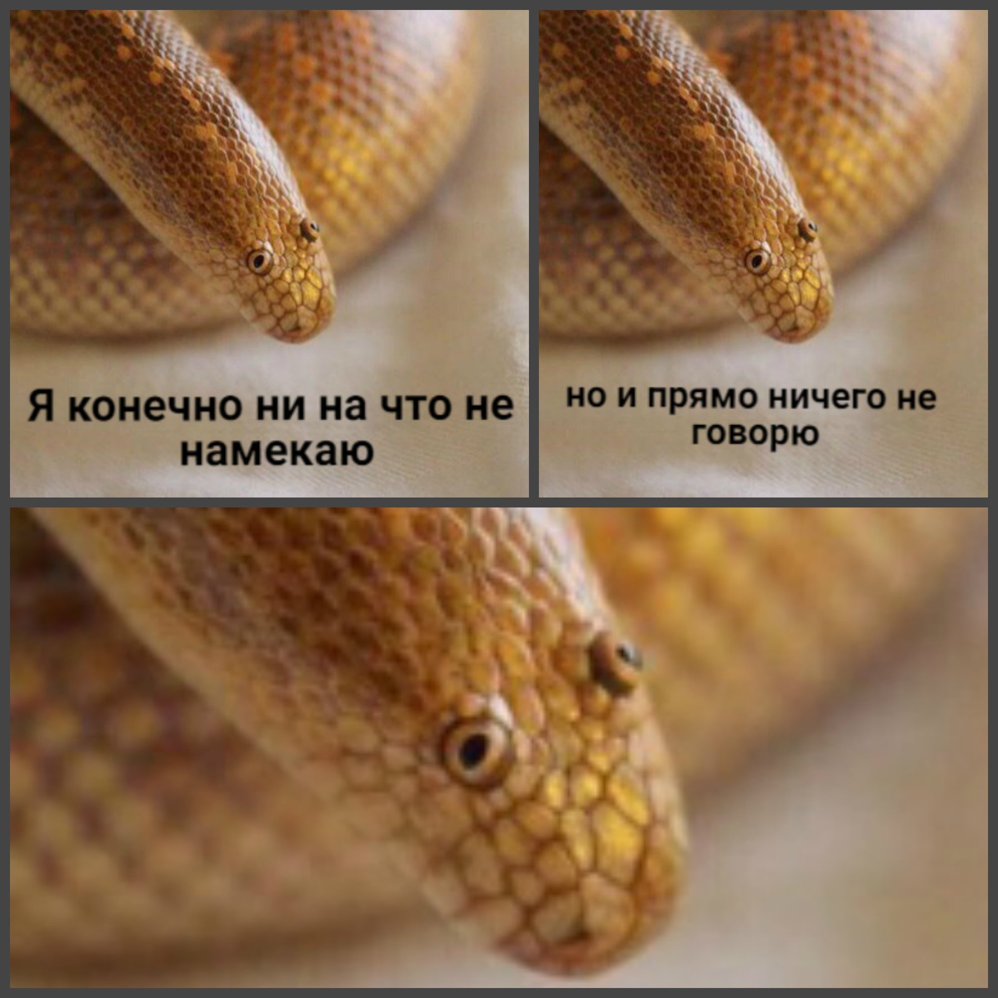 Упоротые змеи