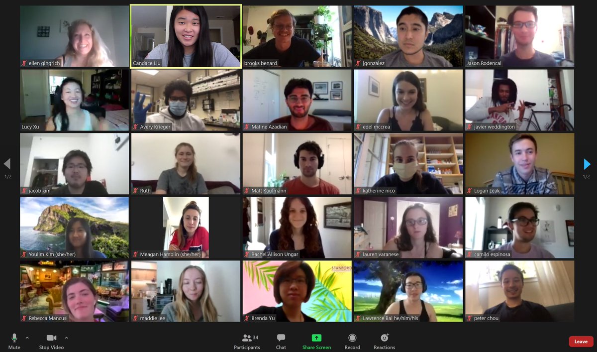 SBSA_official's tweet photo. Last General Meeting of the 2019-2020 year in the books! Huge thank you to our outgoing co-presidents Brooks and Lucy 👏 https://t.co/3TShfALLSG