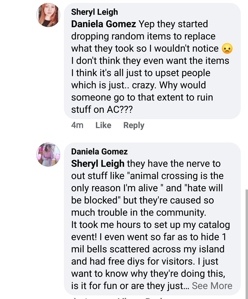 They were instantly recognized by some people on this Facebook post and others shared their stories of how the two would pretend not to know each other and then proceed to steal catalog items.In my experience Maddie invited her friend without my permission and replaced my items