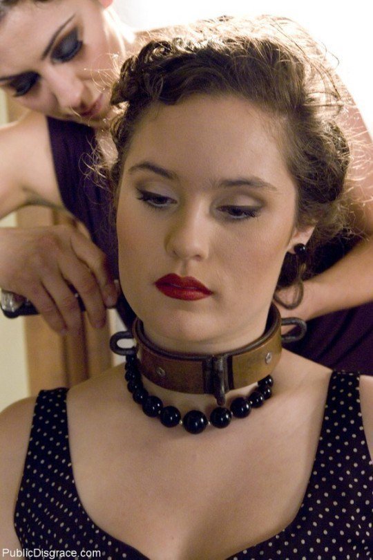 كلباتي بروح انام تصبحون على خير