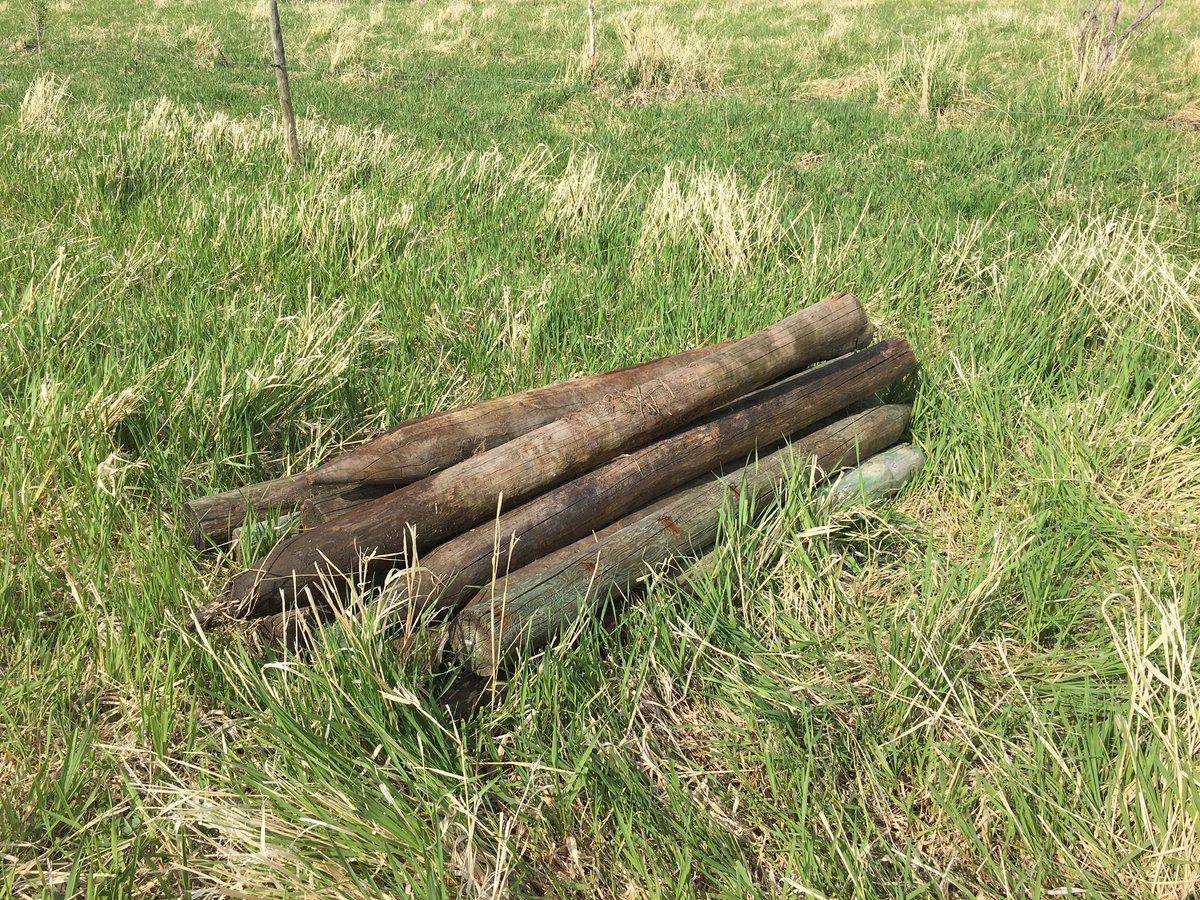 Quite possibly the best part of ripping out barb wire and replacing with electric. At the end your left with a pile of these wooden things that are pointy on one end! #freeposts #itslikemagic