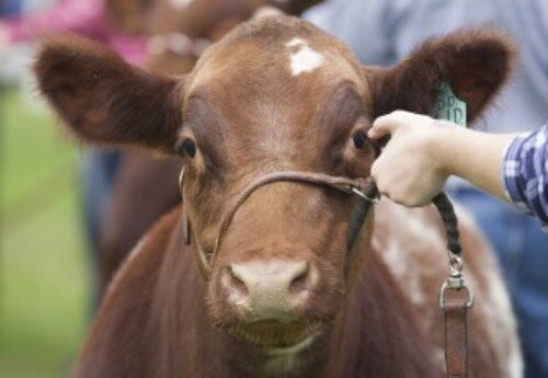 EcDevKL's tweet photo. Did you know: every dollar worth of agricultural products sold adds $2.20 to our regional economy.
Learn more about the importance of agriculture to Kawartha Lakes! https://t.co/tPN6FmgkVG #agriculture #ecdevmatters https://t.co/rTsyEmOzoS