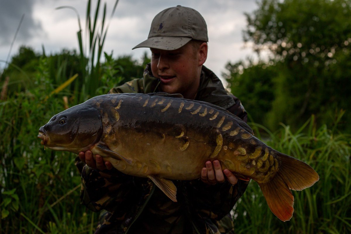 LavenderHallFishery tweet media