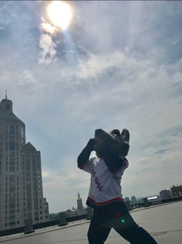 Happy #NationalMascotDay to all my buds out there! #furternity