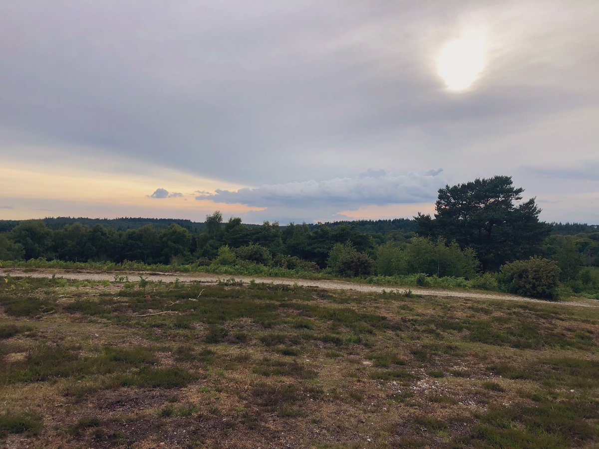 boxpr_lou's tweet photo. One of my favourite spots at the top of Acres Down in the #NewForest. Clouds building. Will it rain? Wonβt it rain? π¬ #LoveWhereYouLive coming out of lockdown #fitternotfatter π€ https://t.co/xV0AIEtFbN