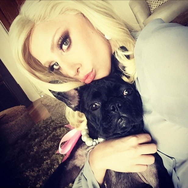  @stefsanjati as Lady Gaga aka stephanie as stefani THREAD