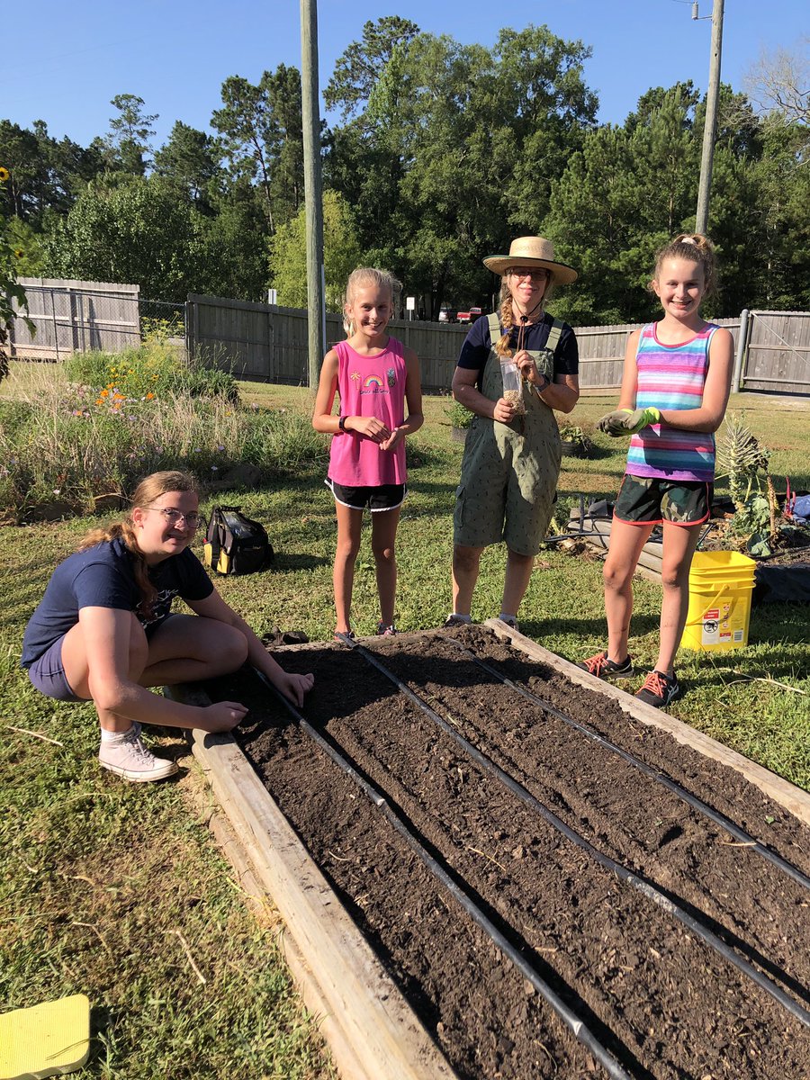 BBES_JMG's tweet photo. We picked tomatoes from #aquaponics, harvested carrots, weeded and planted purple hull peas this morning. So happy to have some of our previous JMG members join us in the garden!  🍅 🥕 https://t.co/9pguujbu1X