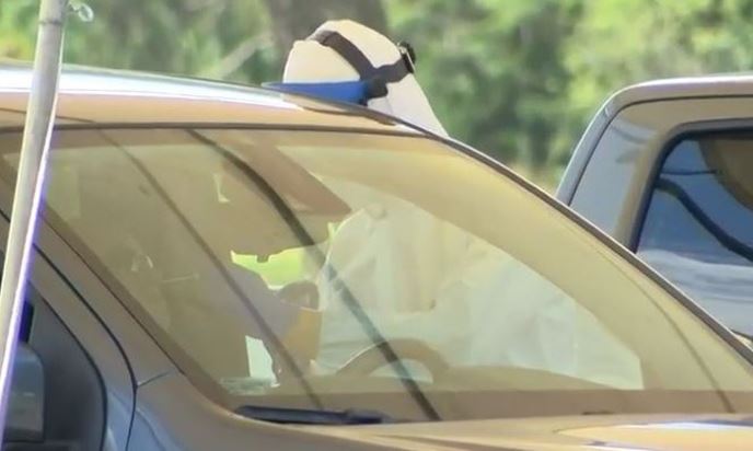 Lynn Kawano tweet media