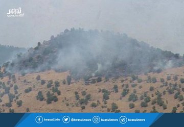عرض الصورة على تويتر