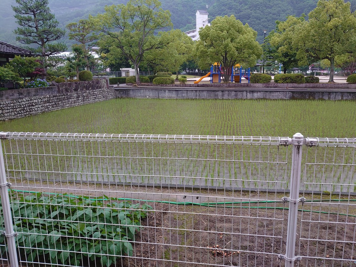 やまさき整形外科 6 18 木 6 今朝は久々の普通の雨です 今日は涼しく過ごせますかね 木曜日は8 00 18 30です やまさき整形外科 雨 午後診察 整形外科 リハビリ